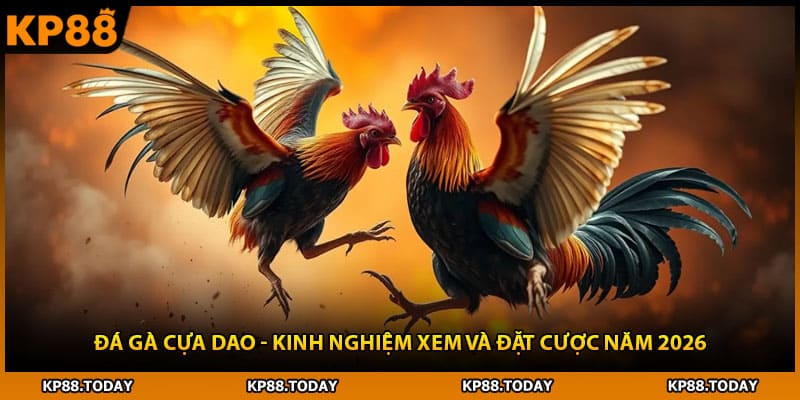 Đá Gà Cựa Dao - Kinh Nghiệm Xem Và Đặt Cược Năm 2026