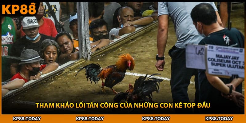 Tham khảo lối tấn công của những con kê top đầu